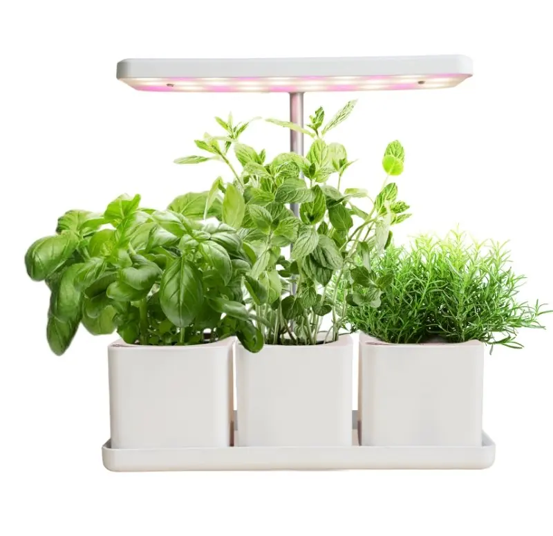 LED-kweekbox met verstelbare lamp